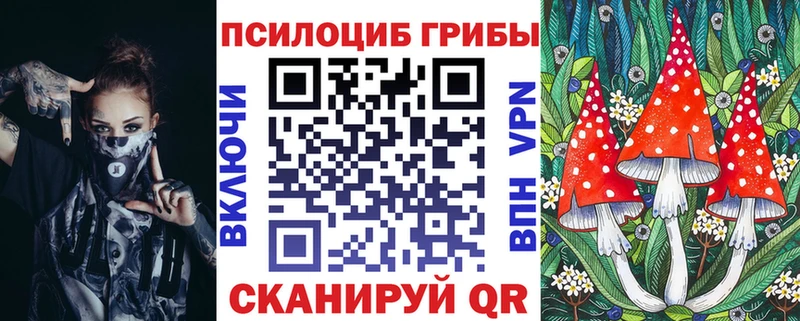где найти наркотики Кулебаки Галлюциногенные грибы Psilocybe
